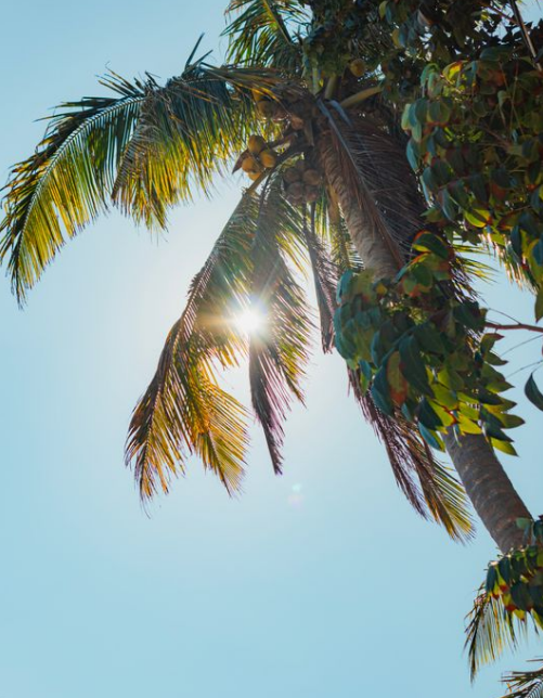 Is Summer a Good Time for Laser Hair Removal?