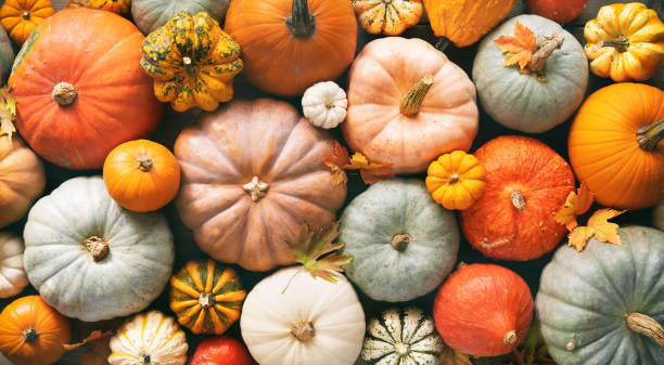 Fall; The Best Season for LHR